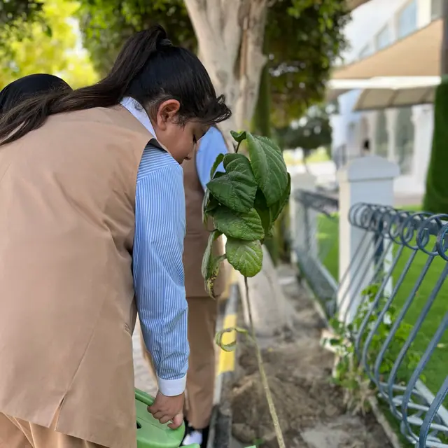A pupil watering a newly planted sapling with a green watering can