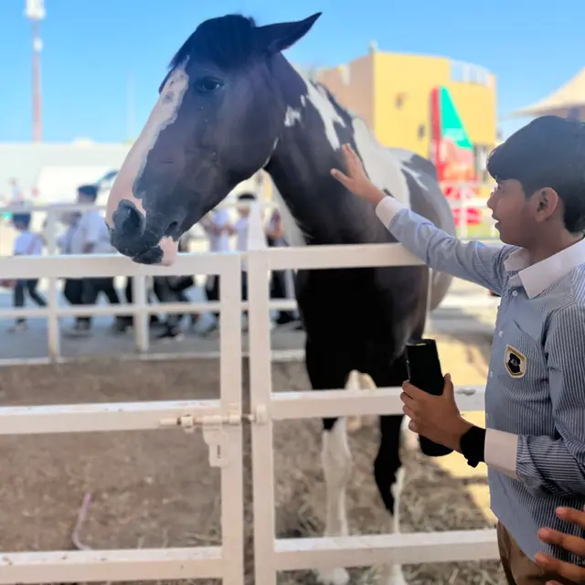 A pupil reaching out to pet a black-and-white horse