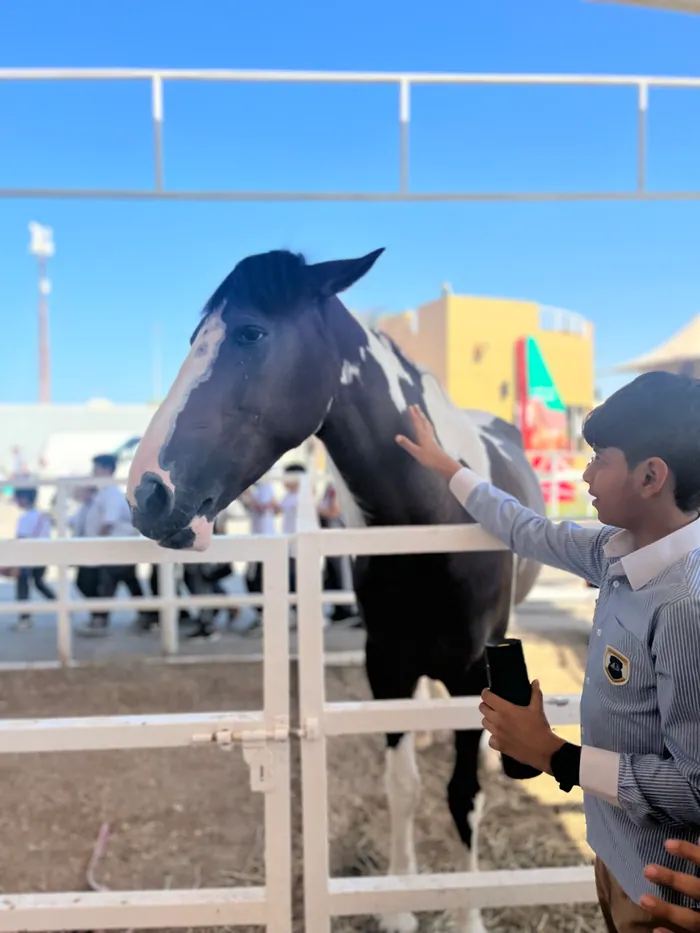 A pupil gently reaching out to a horse on a school trip