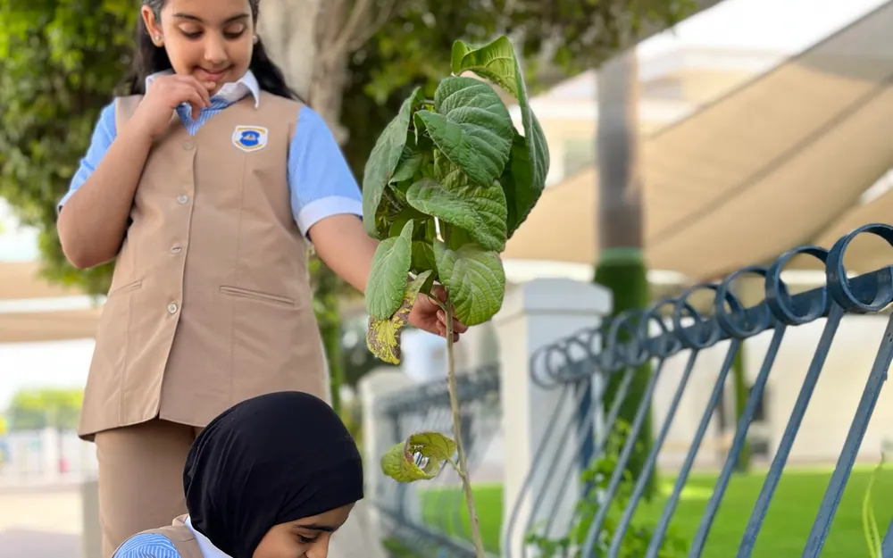 Two AFS pupils carefully planting a sapling by the school fence